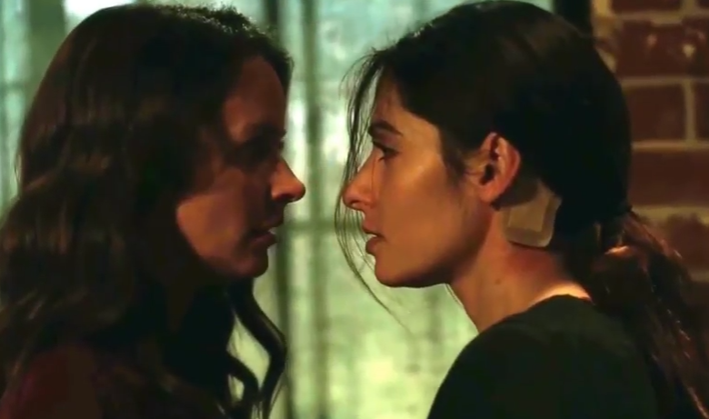 Sarah shahi lesbian scene